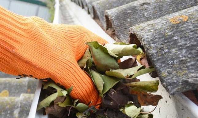 Gutter Cleaning